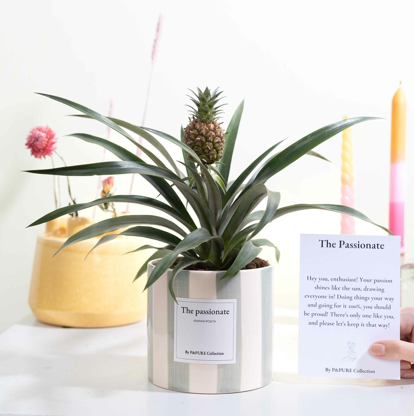 The Passionate | Een geschenk voor toppers | Bezorgen