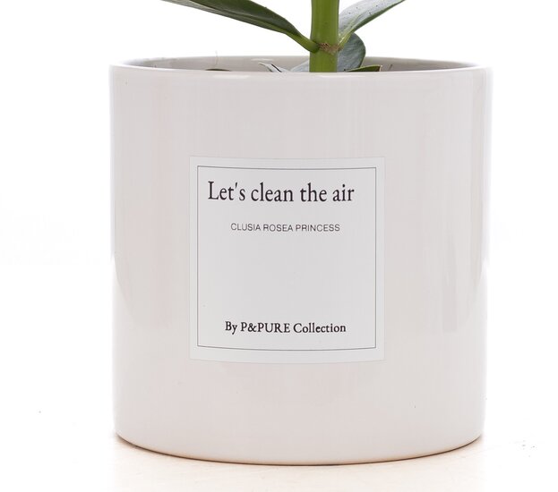 Let&rsquo;s clean the air | Het cadeau voor een nieuw begincl. | Bezorgen