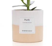 Purify |Het cadeau om tot jezelf te komen | Bezorgen