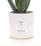 Relax | Het cadeau voor pure ontspannincl.g | Bezorgen