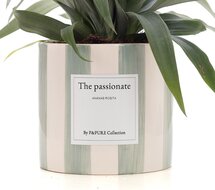 The Passionate | Een geschenk voor toppers | Bezorgen