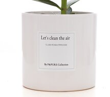 Let&rsquo;s clean the air | Het cadeau voor een nieuw begincl. | Bezorgen