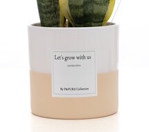 Let&#039;s grow with us| Het cadeau voor een stralende toekomst | Bezorgen